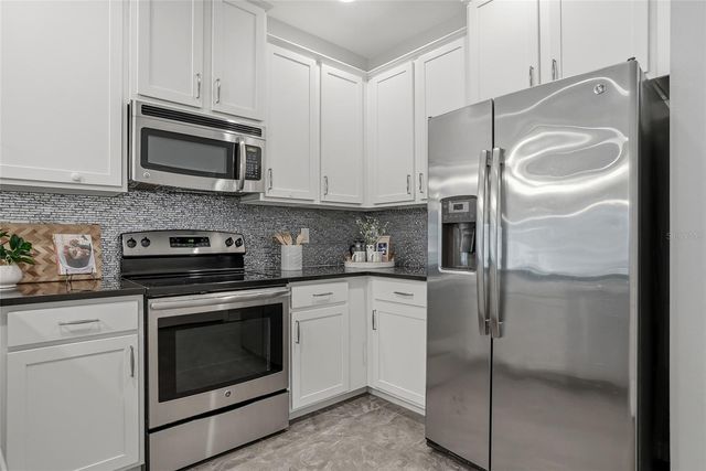 13105 CANOPY CREEK DRIVE, Tampa, FL 33625