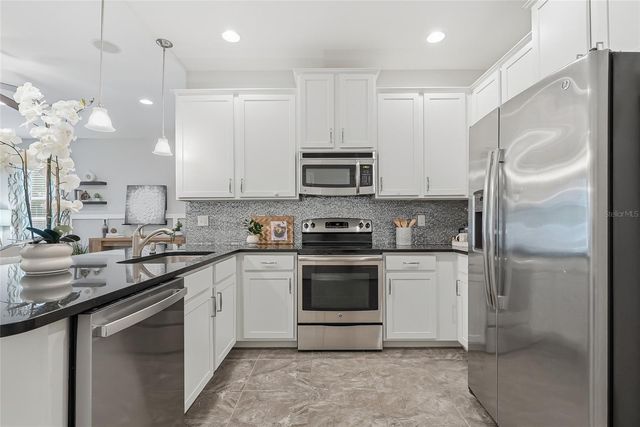 13105 CANOPY CREEK DRIVE, Tampa, FL 33625