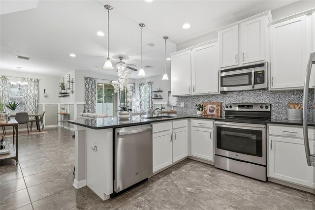 13105 CANOPY CREEK DRIVE, Tampa, FL 33625