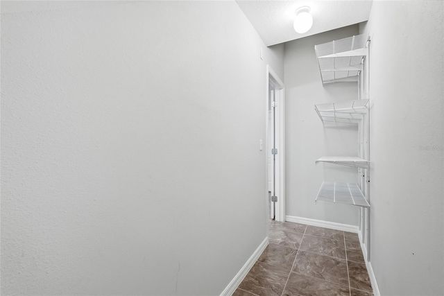 13105 CANOPY CREEK DRIVE, Tampa, FL 33625