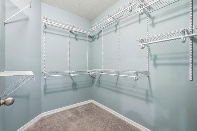 13105 CANOPY CREEK DRIVE, Tampa, FL 33625