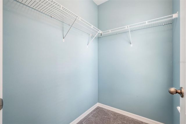 13105 CANOPY CREEK DRIVE, Tampa, FL 33625