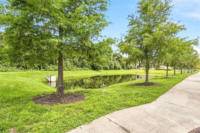 13105 CANOPY CREEK DRIVE, Tampa, FL 33625