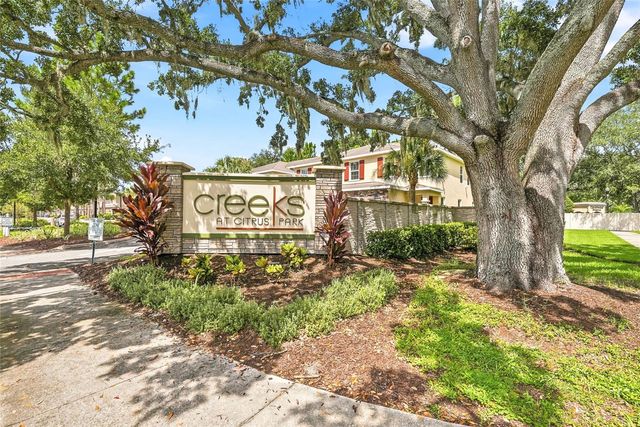 13105 CANOPY CREEK DRIVE, Tampa, FL 33625