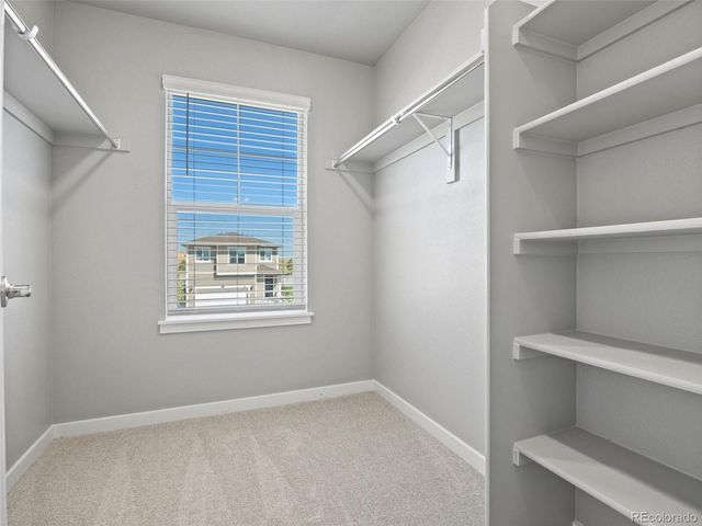 17932 Dandy Brush Drive, Parker, CO 80134