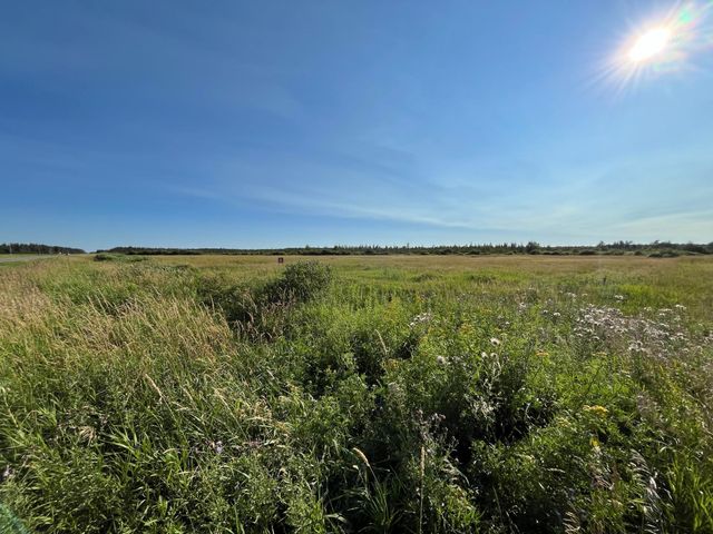 XXX US Hwy 169, Palisade, MN 56469