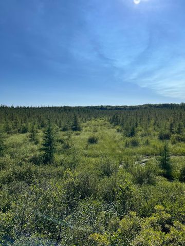 XXX US Hwy 169, Palisade, MN 56469