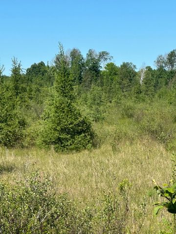 XXX US Hwy 169, Palisade, MN 56469