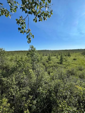 XXX US Hwy 169, Palisade, MN 56469