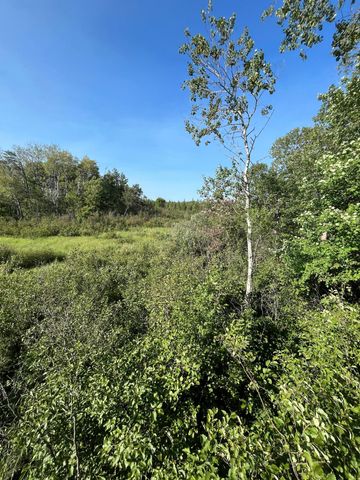 XXX US Hwy 169, Palisade, MN 56469