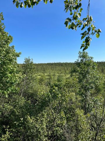 XXX US Hwy 169, Palisade, MN 56469