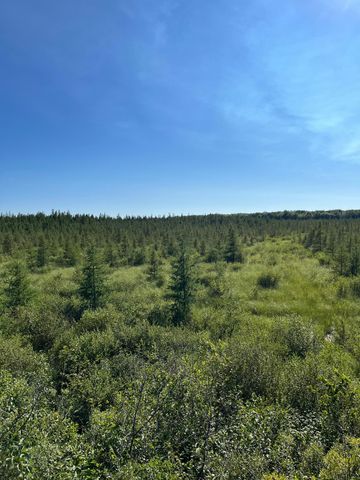 XXX US Hwy 169, Palisade, MN 56469