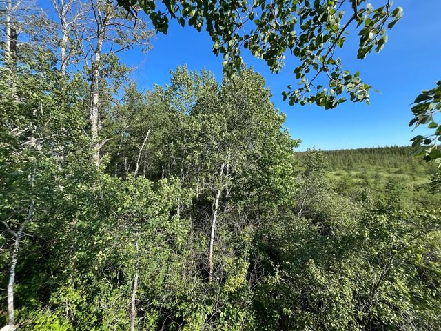 XXX US Hwy 169, Palisade, MN 56469