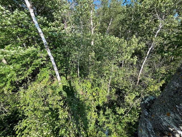 XXX US Hwy 169, Palisade, MN 56469