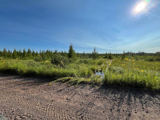 XXX US Hwy 169, Palisade, MN 56469