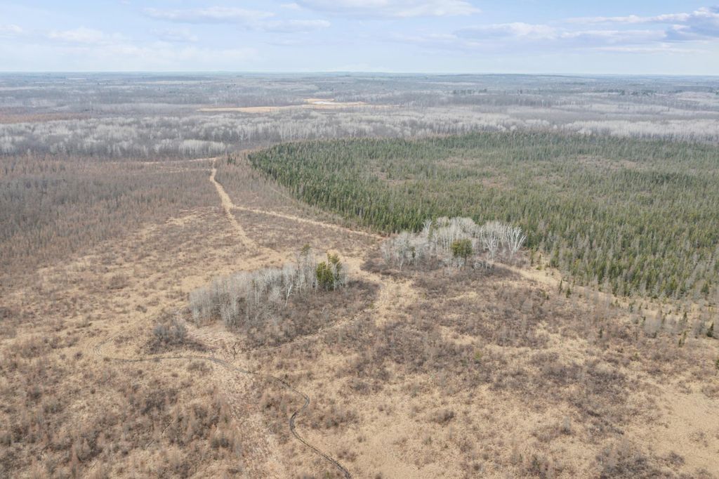 XXX US Hwy 169, Palisade, MN 56469