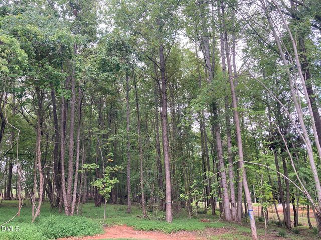 1225 Red Cedar Court, Youngsville, NC 27596
