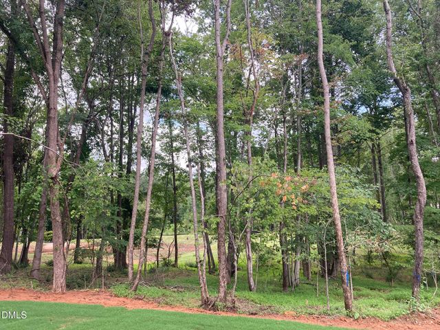 1225 Red Cedar Court, Youngsville, NC 27596