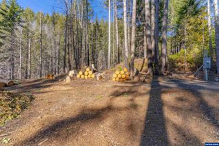 135 Weber St E, Detroit, OR 97342