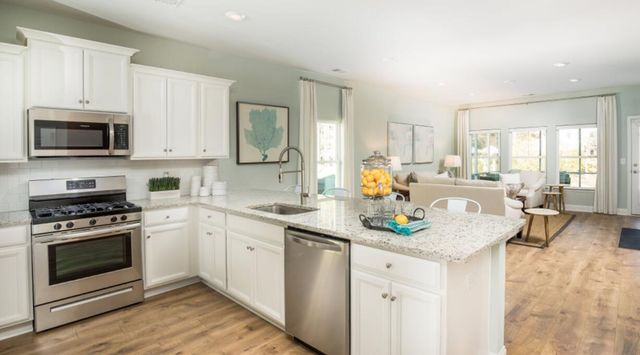 113 Gallant Hill Street, Summerville, SC 29486