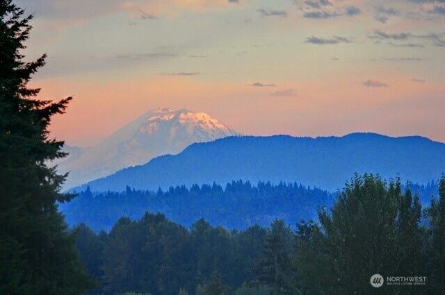 16990 NE 84th Court, Redmond, WA 98052
