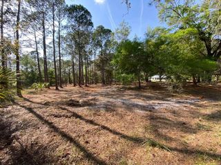 7756 N SHILLELAGH AVENUE, Crystal River, FL 34428