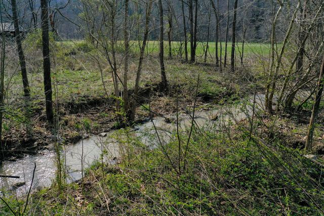 4000 KY-1482, Oneida, KY 40972