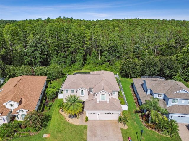 8542 EAGLE BROOK DRIVE, Land O Lakes, FL 34638