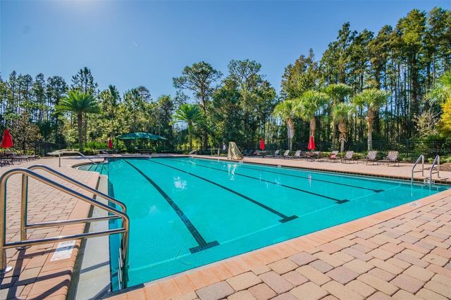 8542 EAGLE BROOK DRIVE, Land O Lakes, FL 34638