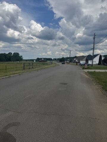 1039 Thompson Farms St, Lascassas, TN 37085