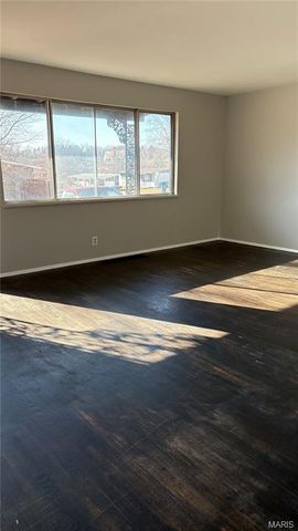 1533 Chesley Drive, St Louis, MO 63136