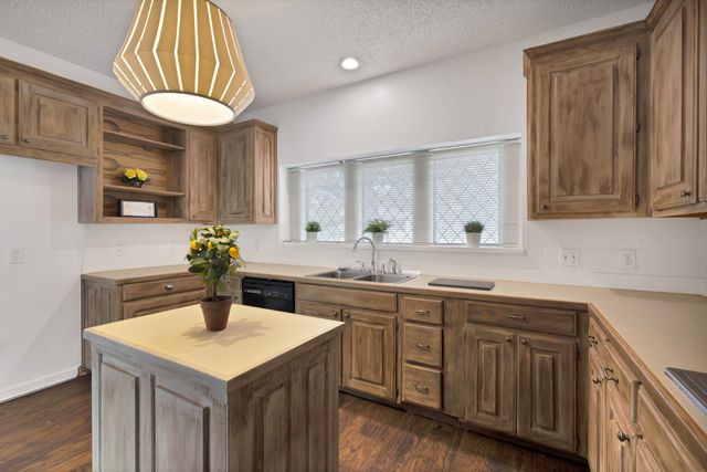 4219 Oak Springs Drive, Arlington, TX 76016