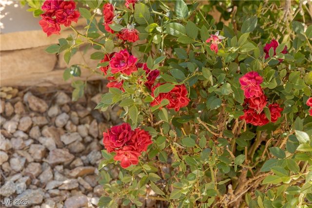 17 Winding Road, Henderson, NV 89052