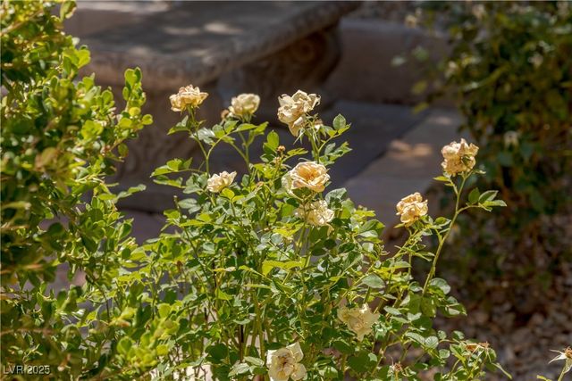 17 Winding Road, Henderson, NV 89052