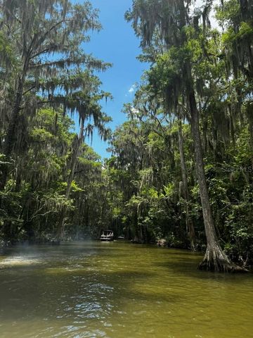 3672 HIDDEN RIVER LANE, Tavares, FL 32778