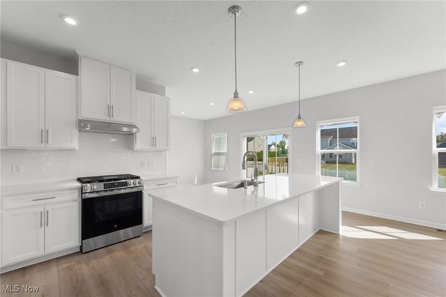 4480 Luckystone Way, Medina, OH 44256