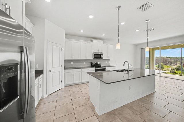 6079 CLAYSTONE WAY, Mount Dora, FL 32757