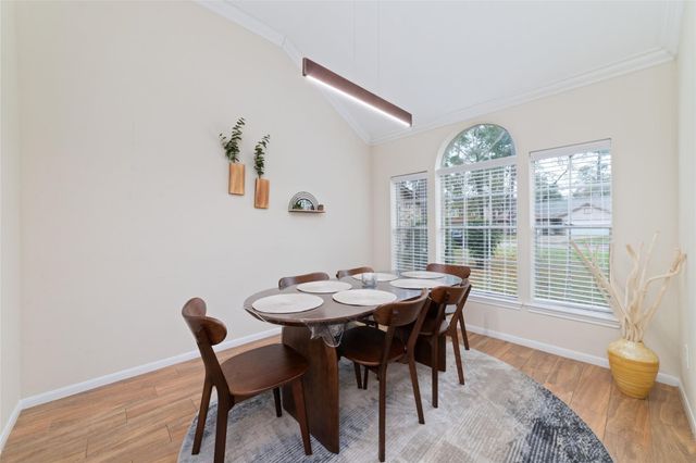 36 N Rain Forest Court, Spring, TX 77380