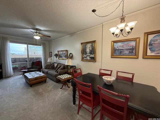 1 Towers Park Ln Apt 302, San Antonio, TX 78209