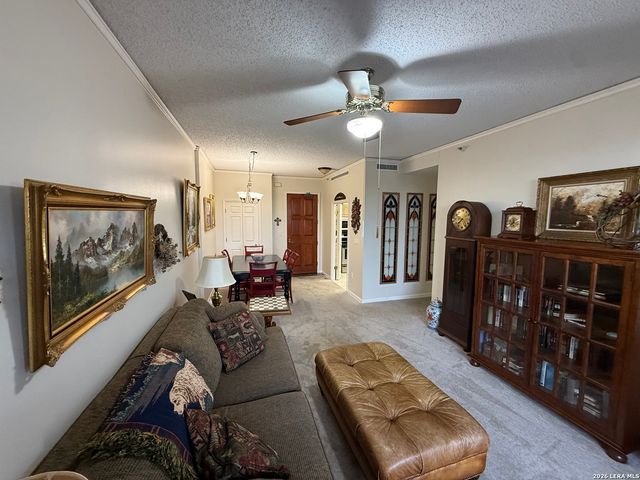 1 Towers Park Ln Apt 302, San Antonio, TX 78209