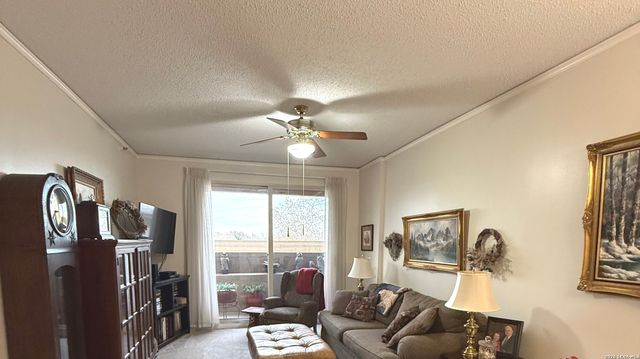 1 Towers Park Ln Apt 302, San Antonio, TX 78209