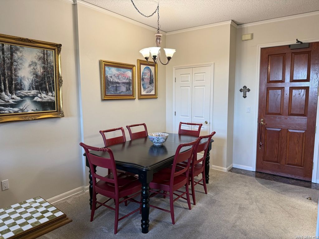 1 Towers Park Ln Apt 302, San Antonio, TX 78209