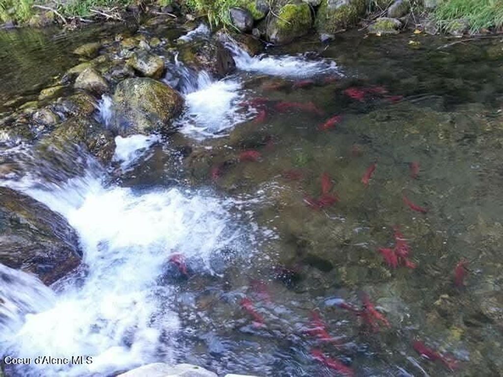 145 Cedar Dr, Bayview, ID 83803 photo 49