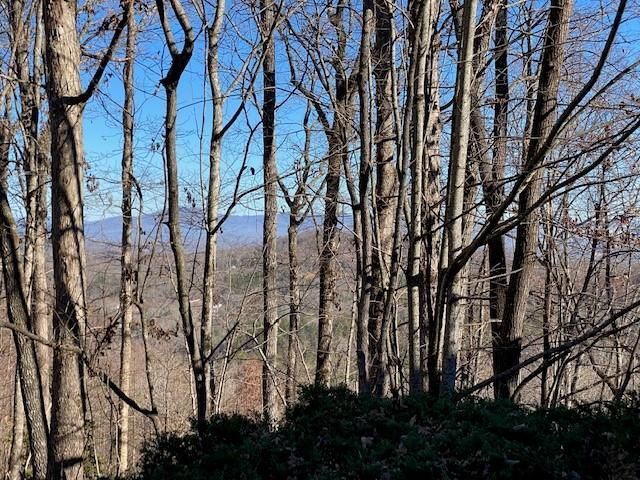 5.91 ac Sunrock Mtn Trace, Blue Ridge, GA 30513