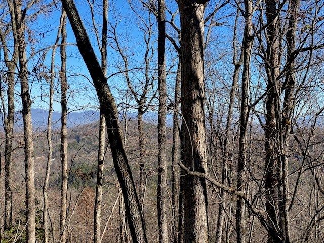 5.91 ac Sunrock Mtn Trace, Blue Ridge, GA 30513