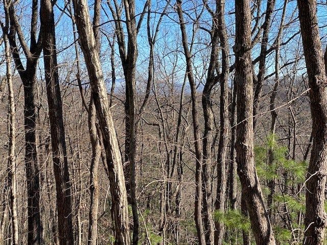 5.91 ac Sunrock Mtn Trace, Blue Ridge, GA 30513