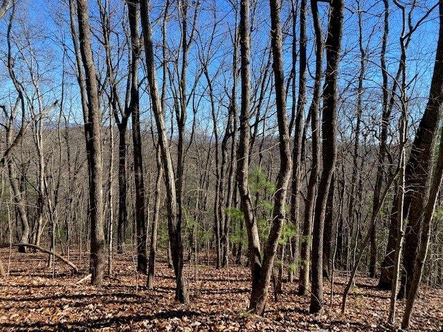 5.91 ac Sunrock Mtn Trace, Blue Ridge, GA 30513