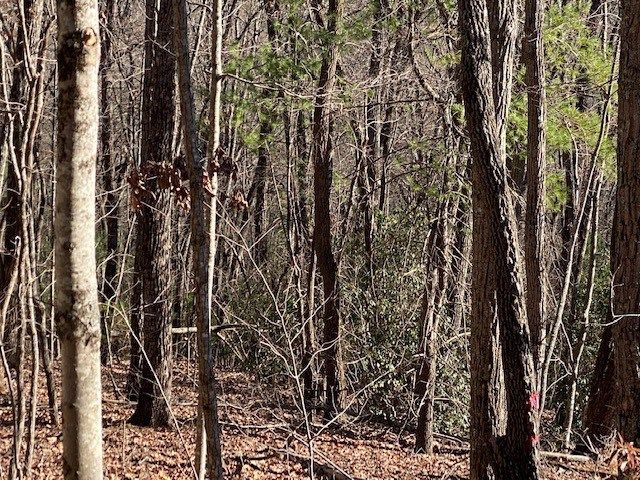 5.91 ac Sunrock Mtn Trace, Blue Ridge, GA 30513