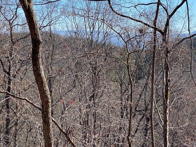 5.91 ac Sunrock Mtn Trace, Blue Ridge, GA 30513