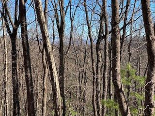 5.91 ac Sunrock Mtn Trace, Blue Ridge, GA 30513